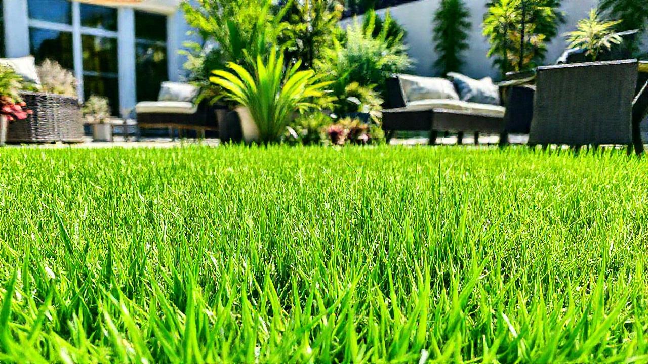 Un patio moderno y verde invita