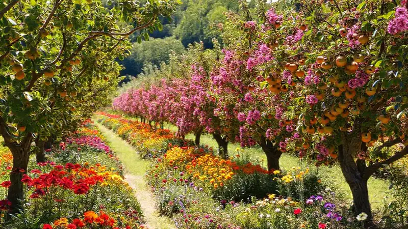 Un jardín exuberante y colorido florece