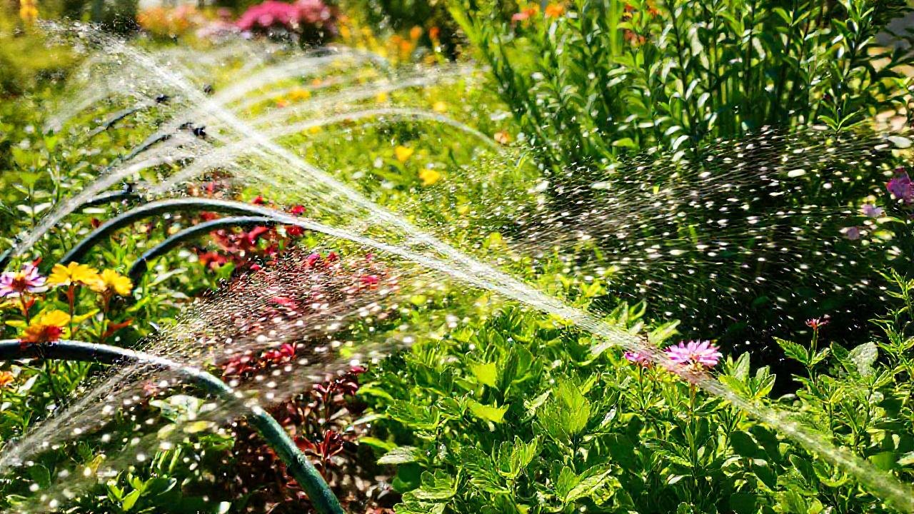 Un jardín exuberante se irriga con luz