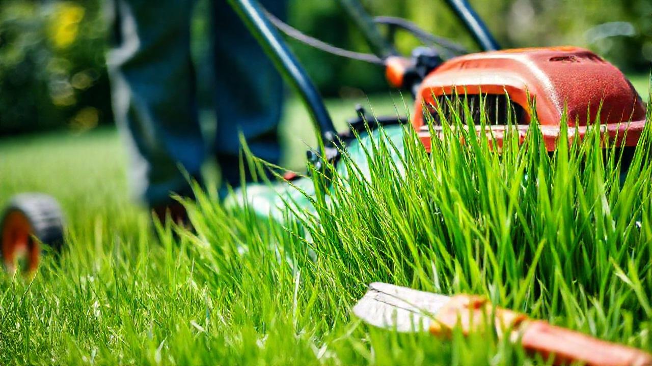 Fotografía profesional de césped exuberante y jardinero