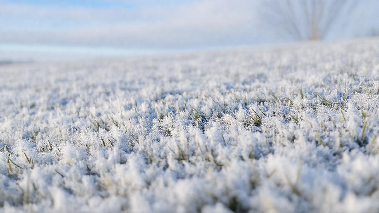 La nieve crea un paisaje invernal artificial