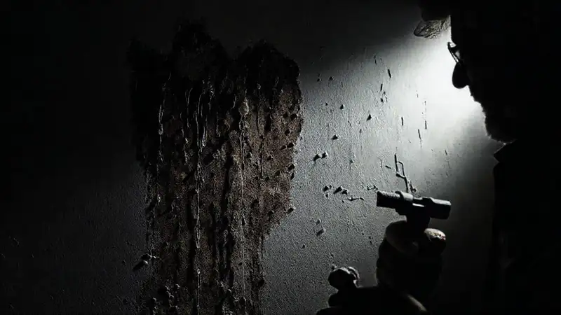 Una pared húmeda genera inquietud y misterio