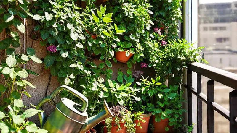 Un jardín vertical alegre y exuberante