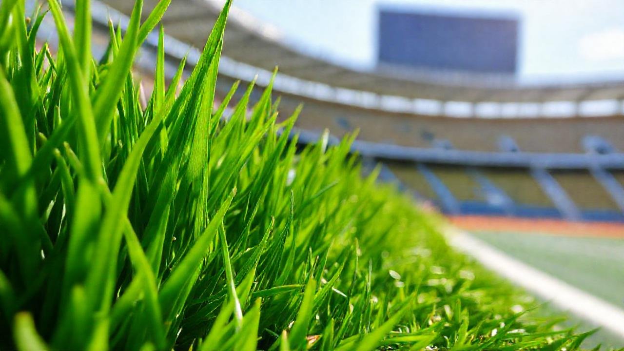 El césped verde muestra detalles vibrantes