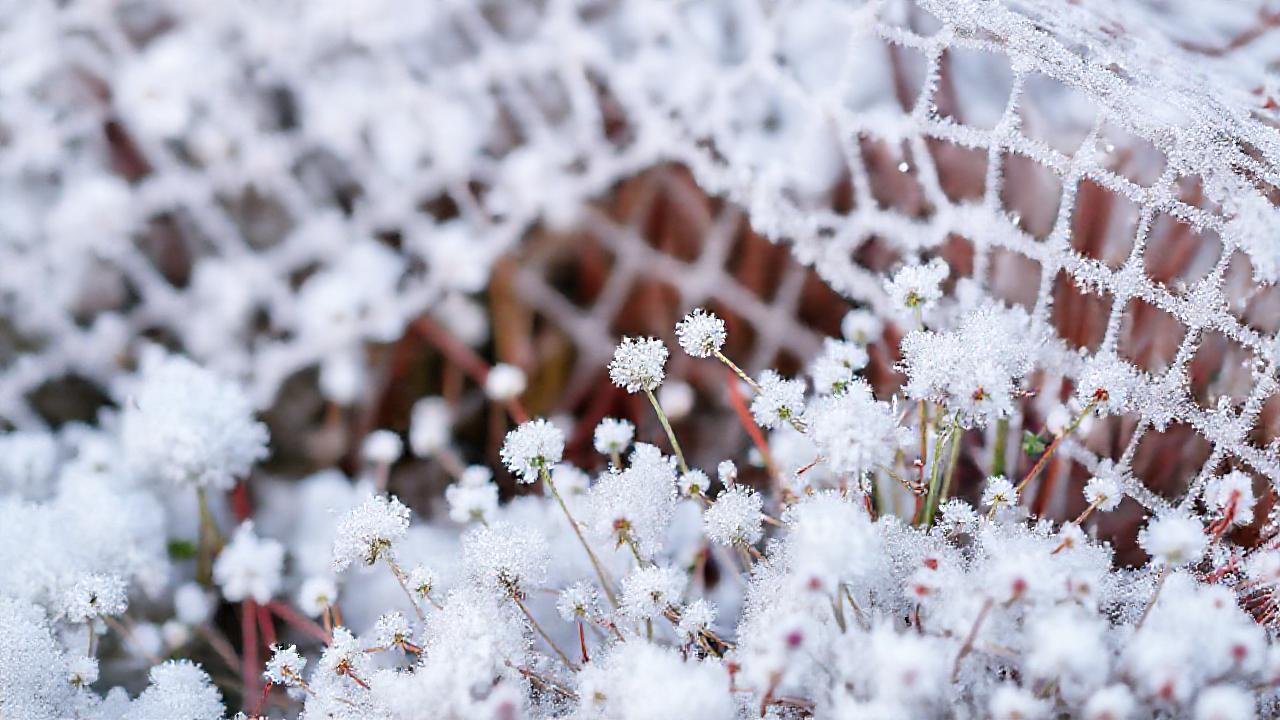 Jardín invernal protegido en colores vibrantes