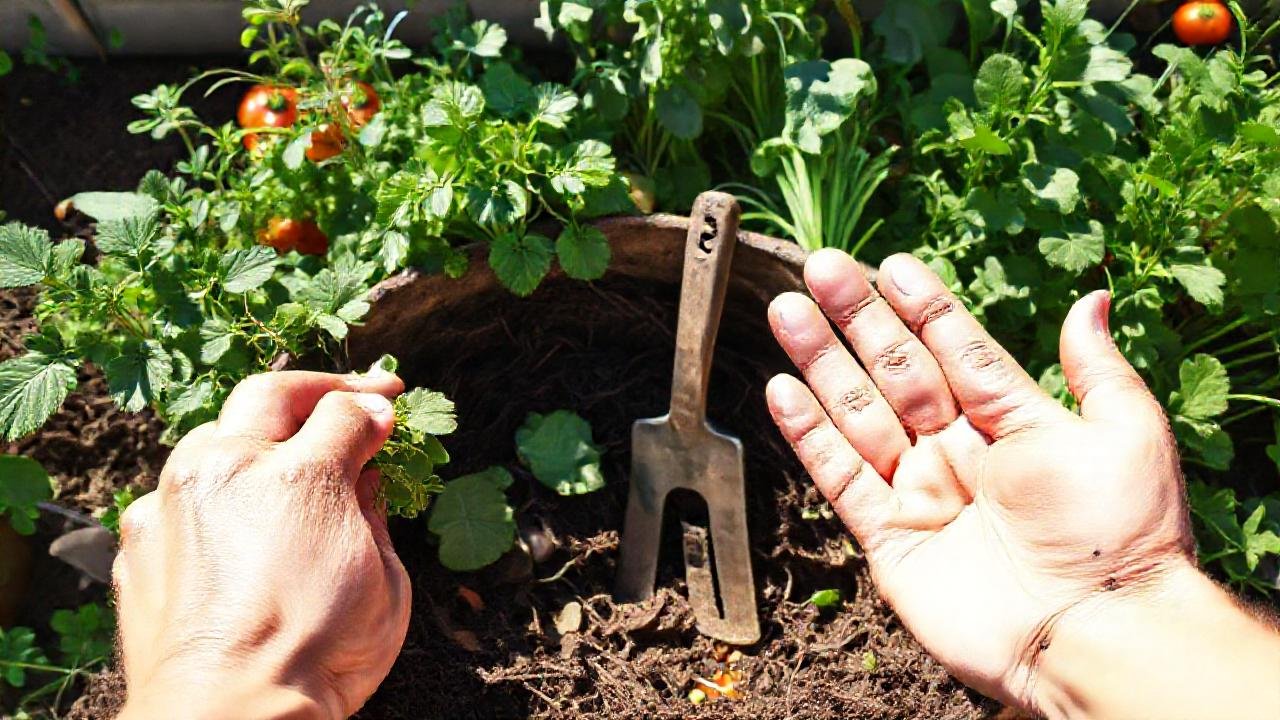 Un jardín urbano próspero y artesanal